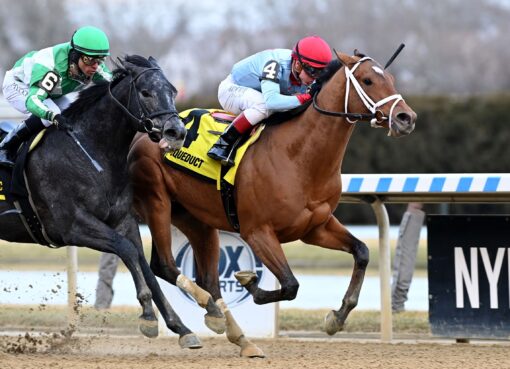Lugan Knight, horse, Goldencents, Jerome Stakes, sábado, 7 de enero de 2023, Aqueduct. Foto: Coglaniese Photo & Susie Raisher