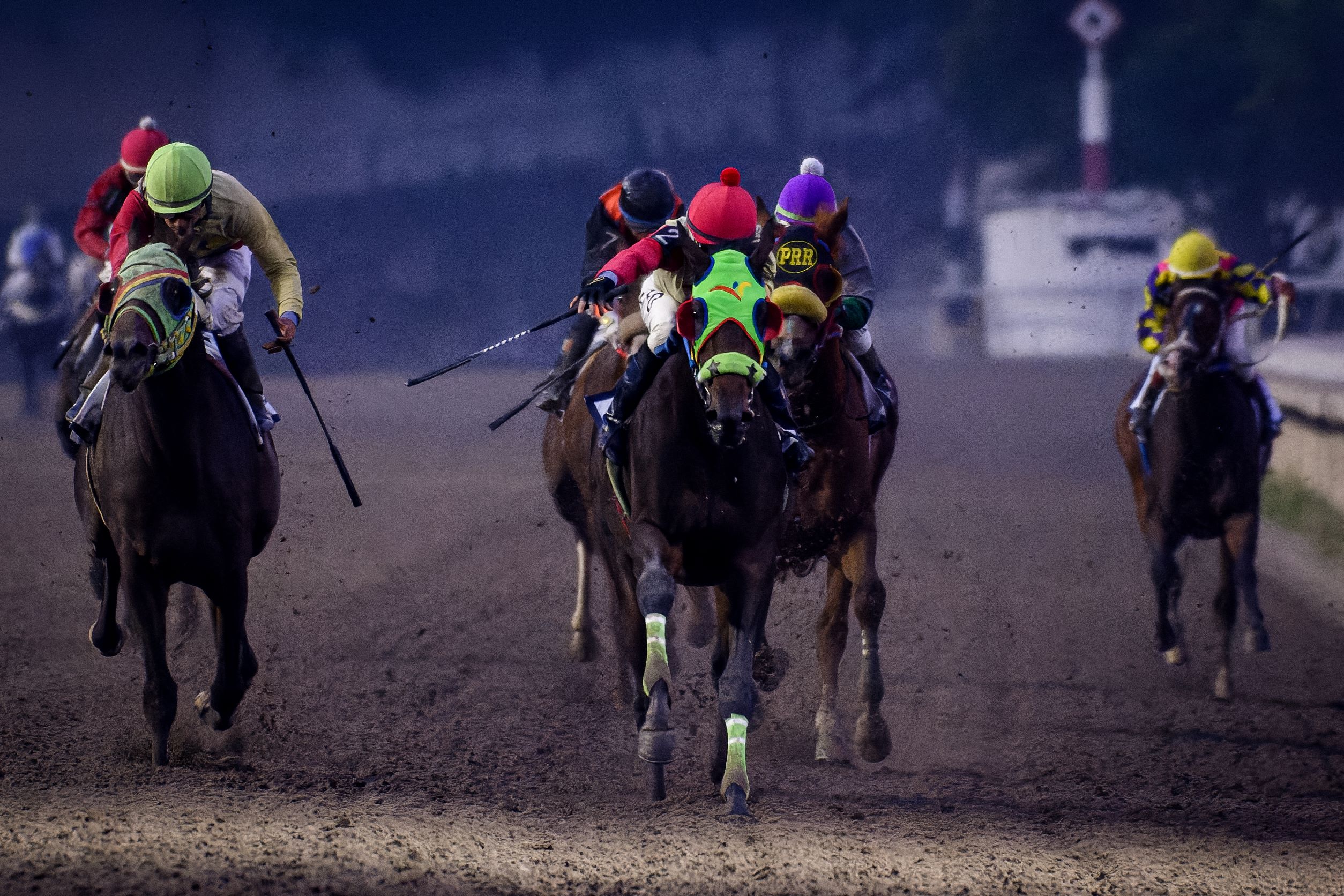 Bjorn Asquifar, horse, Point of Entry, Clásico Dilic, Hipódromo de Las Américas, sábado, 19 de noviembre de 2022. Foto: Miguel Ángel Espinoza