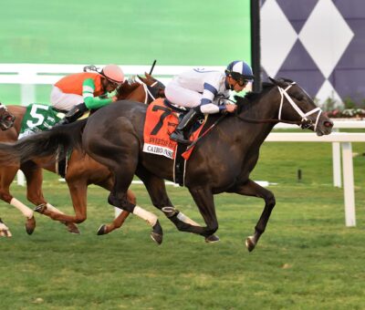 Cairo Consort, horse, Repole Stable, Sweetest Stakes, sábado, 4 de febrero de 2023, Gulsftream Park. Foto: Coglianese Photo & Nicole Thomas