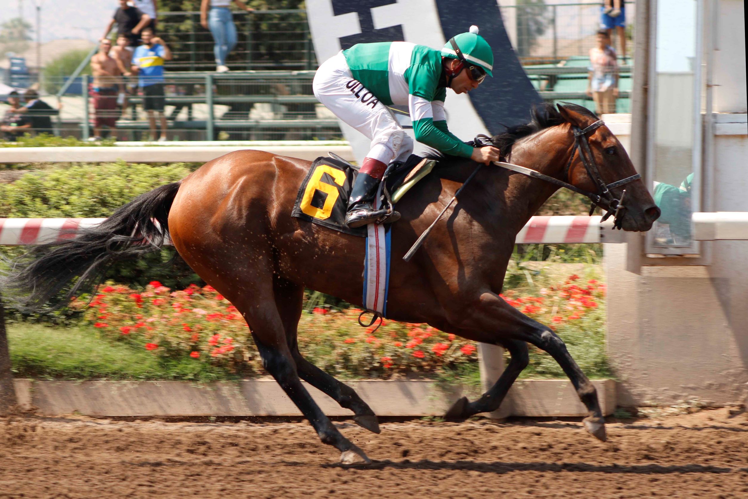 Dulce Encanto, horse, Seeking The Día, Clásico Provita, sábado, 11 de febrero de 2023, Hipódromo Chile. Foto: Jaime Cortés