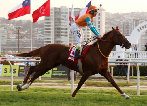 Fortino, horse, Midshipman, Clásico El Derby, domingo, 5 de febrero de 2023, Valparaíso Sporting Club. Foto: Jaime Cortés
