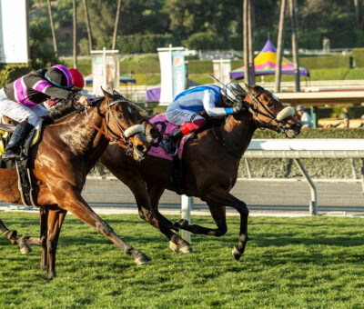 Freedom Flyer, Horses, Constitution, Wishing Well Stakes, sábado, 18 de febrero de 2023, Santa Anita Park. Foto: Benoit Photo