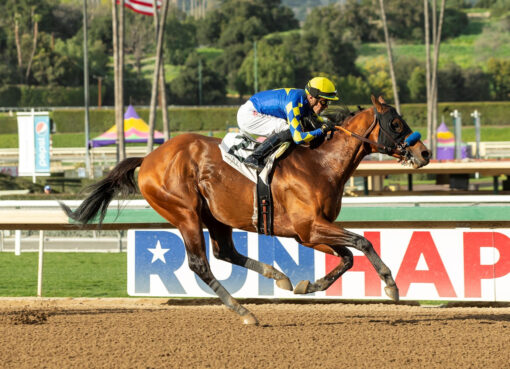 Hopkins, Horses, Quality Road, Los Palos Verdes Stakes, domingo, 5 de febrero de 2023, Santa Anita Park. Foto: Benoit Photo