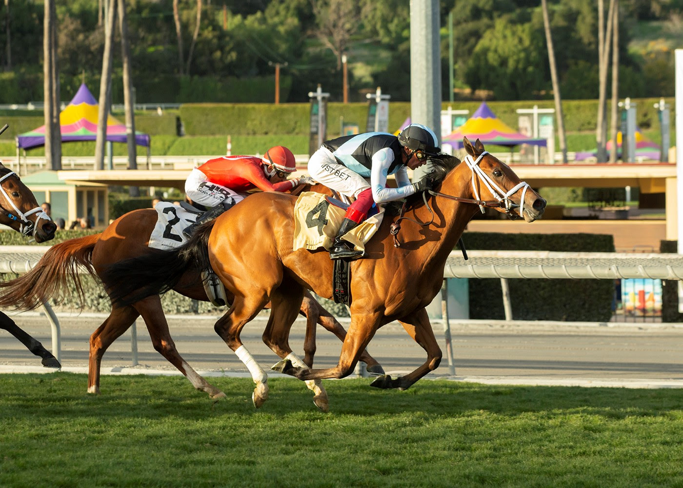 Manhattan Jungle, Horses, Bungle In The Jungle, Sweet Life Stakes, sábado, 11 de febrero de 2023, Santa Anita Park. Foto: Benoit Photo