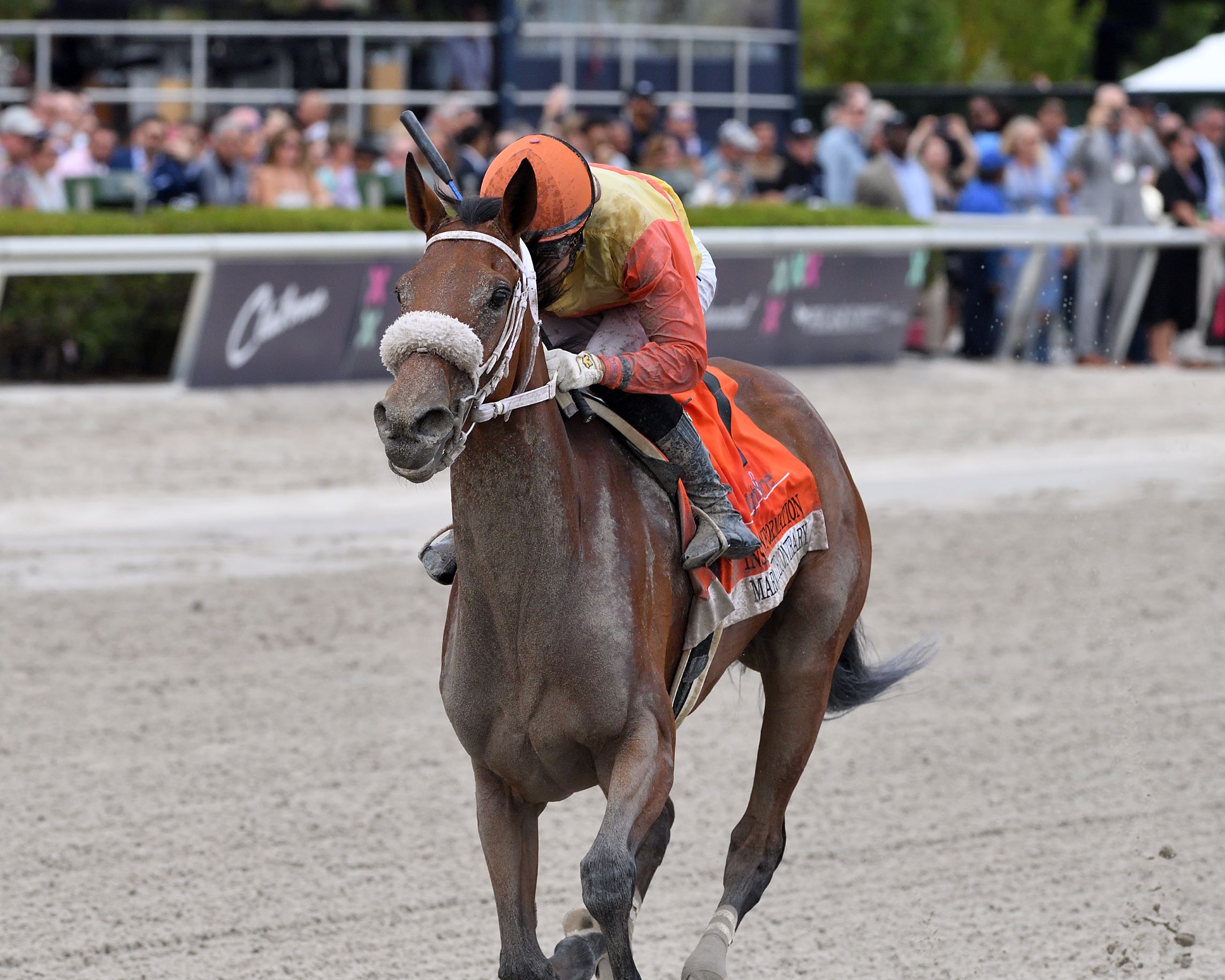 Maryquitecontrary, horse, Rodney G. Lundock, Inside Information, sábado, 28 de enero de 2023, Gulsftream Park. Foto: Coglianese Photo