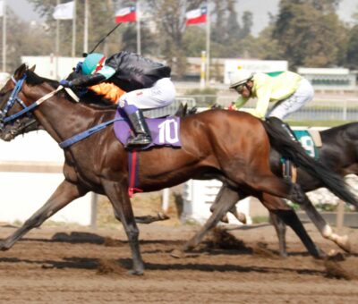 Ochentero, horse, Haras Convento Viejo, Clásico Porfido, viernes, 10 de febrero de 2023, Club Hípico de Santiago. Foto: Jaime Cortés