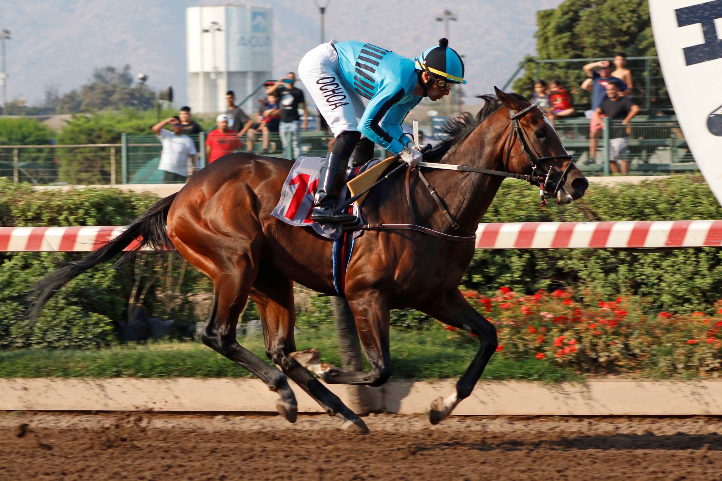 Orgullo Vencido, horse, Haras Viejo Perro, Clásico Geólogo, sábado, 14 de enero de 2023, Hipódromo Chile. Foto: Jaime Cortés