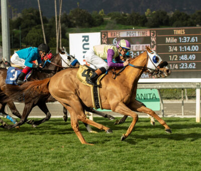 Prince Abama, Horses, Tamayuz (IRE), San Marcos Stakes, domingo, 5 de febrero de 2023, Santa Anita Park. Foto: Benoit Photo