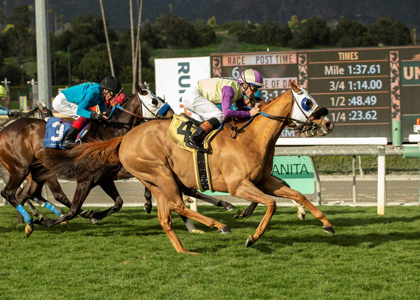 Prince Abama, Horses, Tamayuz (IRE), San Marcos Stakes, domingo, 5 de febrero de 2023, Santa Anita Park. Foto: Benoit Photo