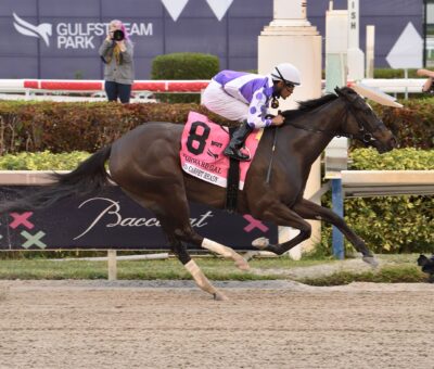 Red Carpet Ready, horse, Oscar Performance, Forward Stakes, sábado, 4 de febrero de 2023, Gulsftream Park. Foto: Coglianese Photo