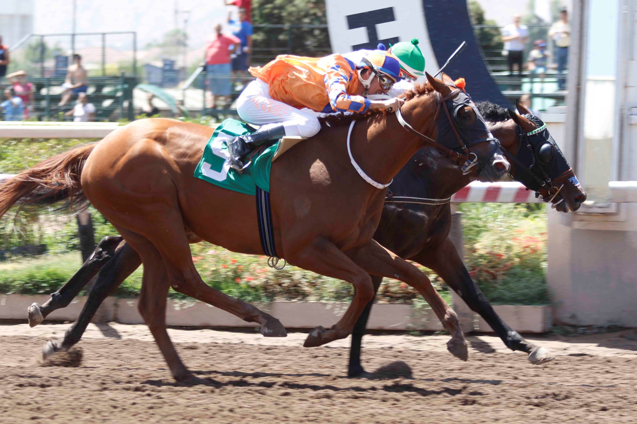 Stranger Things, horse, Constitution, Clásico Cougar, sábado, 18 de febrero de 2023, Hipódromo Chile. Foto: Jaime Cortés