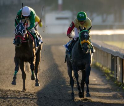 Vanadis Asquifar, horses, Win Willy, Futurity Mexicano, Hipódromo de Las Américas, sábado, 26 de noviembre de 2022. Foto: Miguel Ángel Espinoza