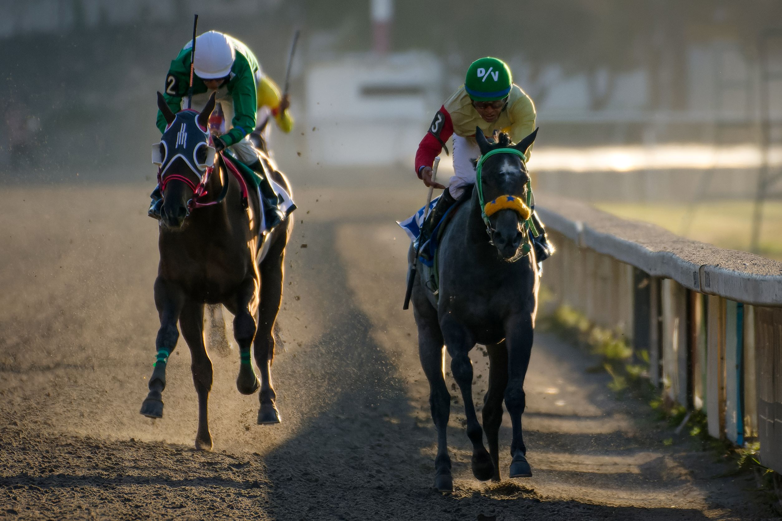 Vanadis Asquifar, horses, Win Willy, Futurity Mexicano, Hipódromo de Las Américas, sábado, 26 de noviembre de 2022. Foto: Miguel Ángel Espinoza