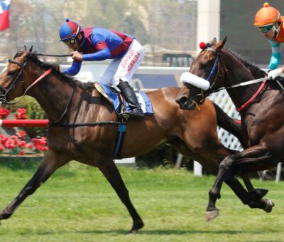 Vivir La Vida, horse, Haras Viejo Perro, Clásico Crisantemo, viernes, 10 de febrero de 2023, Club Hípico de Santiago. Foto: Jaime Cortés