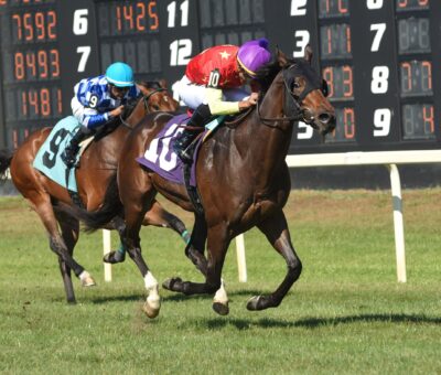 Talk Of The Nation, horse, Quality Road, Columbia Stakes, sábado, 11 de marzo de 2023, Tampa Bay Downs. Foto: SV Photography