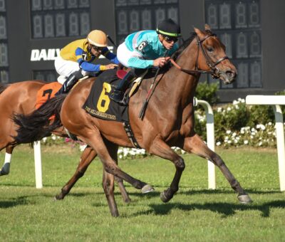Shantisara, horse, Coulsty, Hillsborough Stakes, sábado, 11 de marzo de 2023, Tampa Bay Downs. Foto: SV Photography