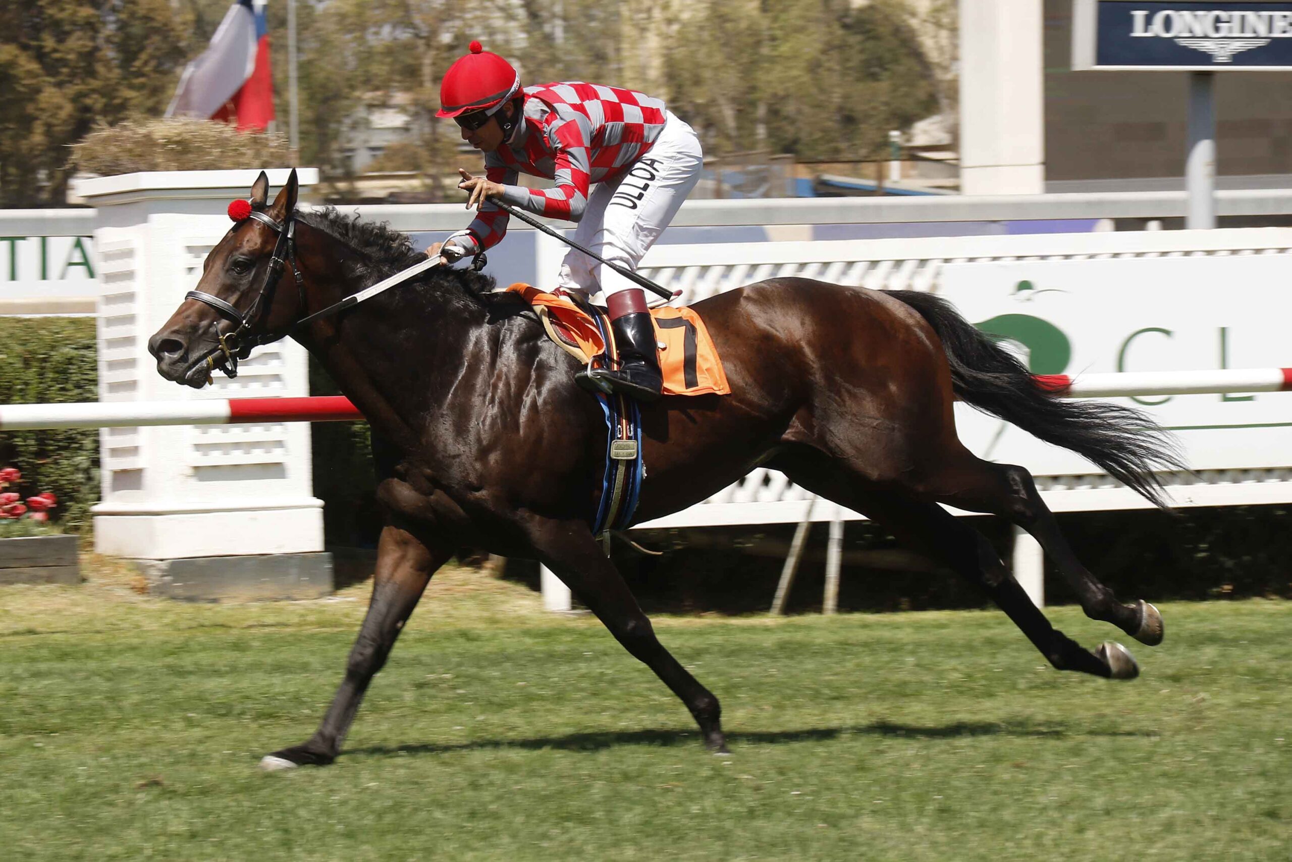 Almonte, horse, No Nay Never, Clásico Fuerza Aérea de Chile, viernes, 3 de marzo de 2023, Club Hípico de Santiago. Foto: Jaime Cortés