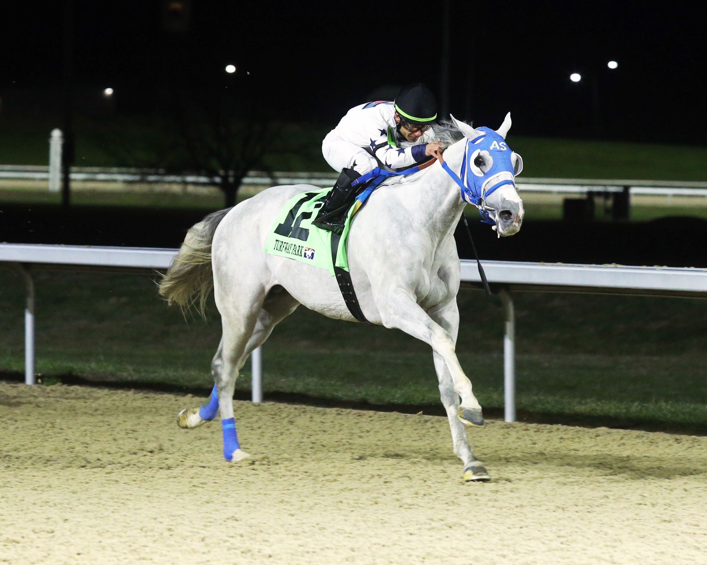 Congruent, horse, Tapit Syndicate & Glencrest Farm, John Battaglia Memorial Stakes, sábado, 4 de marzo de 2023, Turfway Park. Foto: Coady Photo