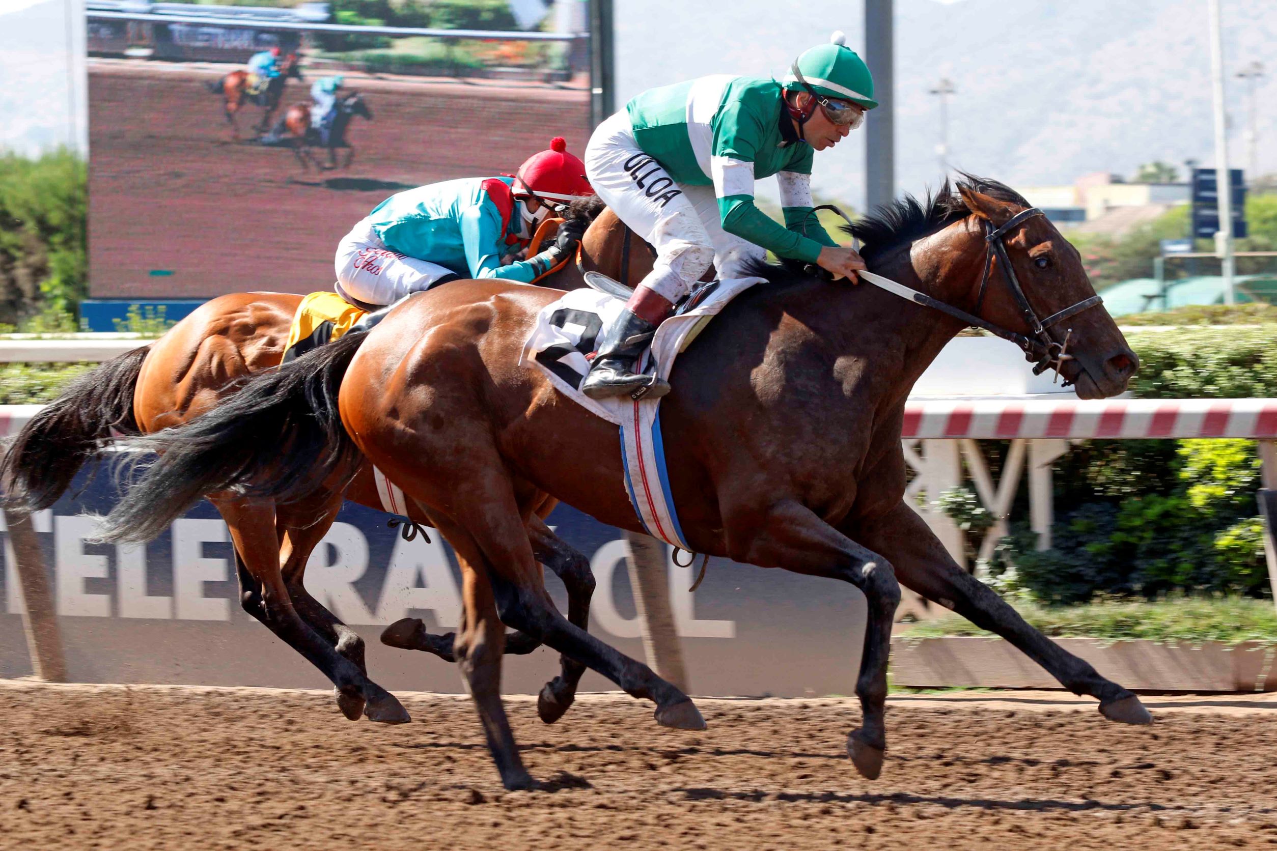 Dulce Encanto, horse, Seeking The Día, Clásico Orlando Mercado Labbe, sábado, 11 de marzo de 2023, Hipódromo Chile. Foto: Jaime Cortés