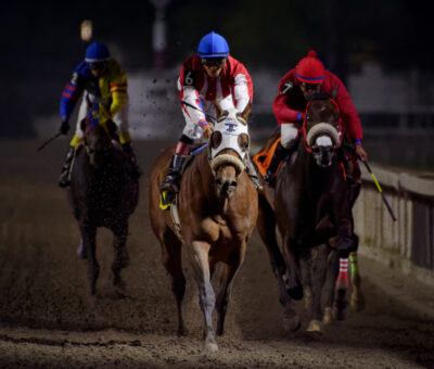 Ikal, horses, Animal Kigdom, Comité Mexicano de Arbitraje de Carreras de Caballos y Galgos A.C. , Hipódromo de Las Américas, sábado, 25 de marzo de 2023. Foto: Miguel Ángel Espinoza