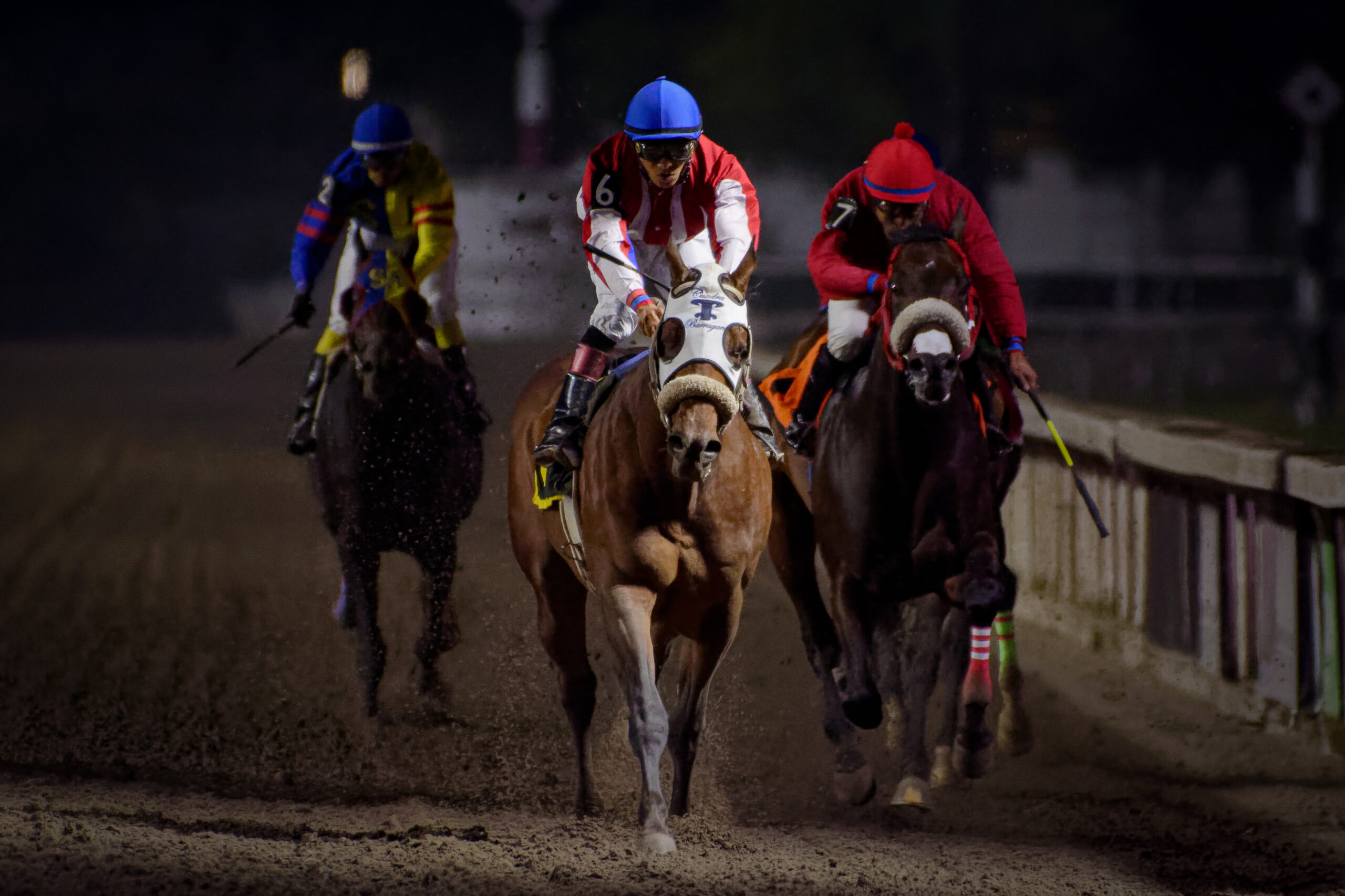 Ikal, horses, Animal Kigdom, Comité Mexicano de Arbitraje de Carreras de Caballos y Galgos A.C. , Hipódromo de Las Américas, sábado, 25 de marzo de 2023. Foto: Miguel Ángel Espinoza