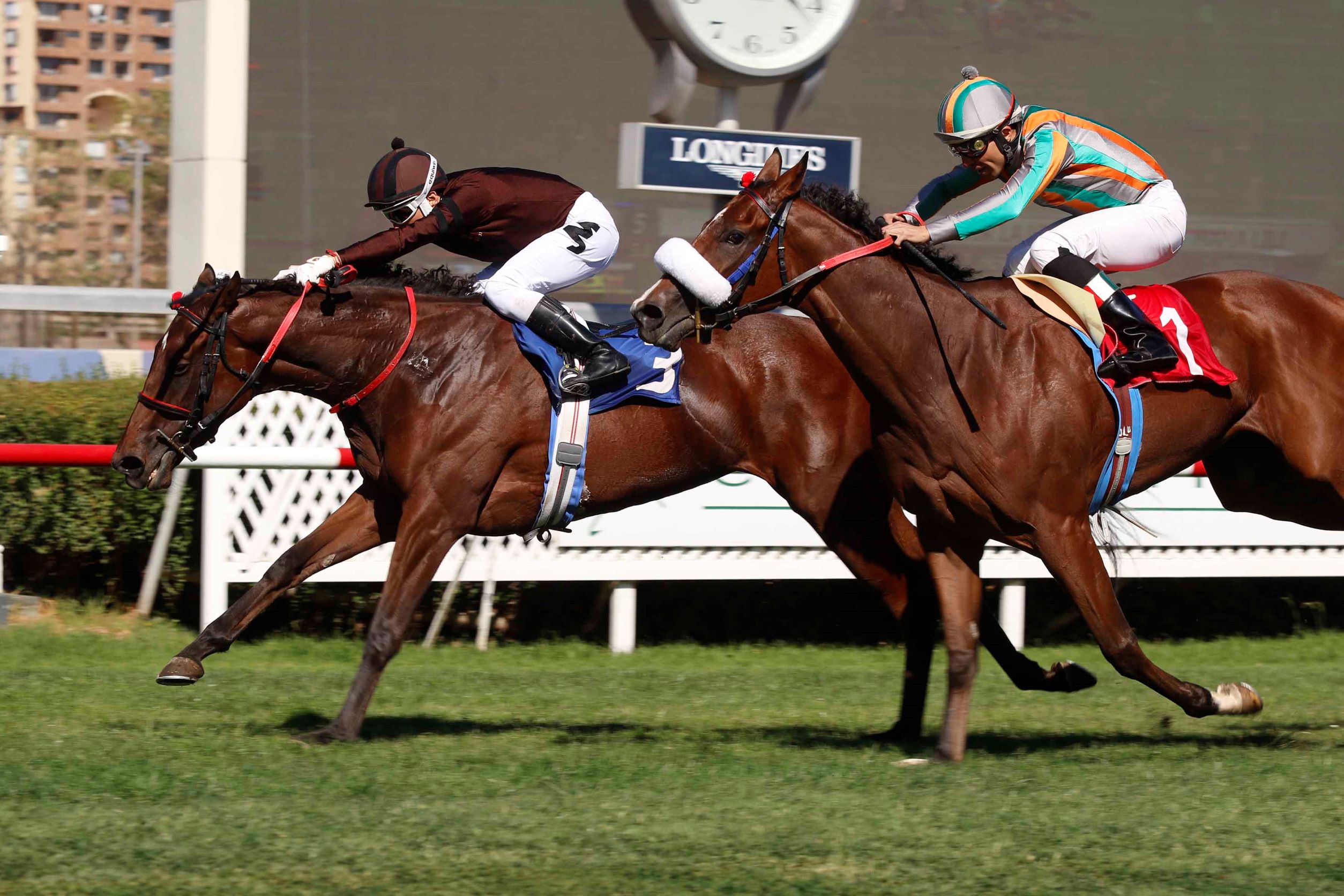 Mamá Lili, horse, Iván Denisovich, Clásico Coronación Pablo Baraona Urzua, domingo, 19 de marzo de 2023, Club Hípico de Santiago. Foto: Jaime Cortés