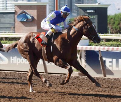 Morricone, horse, Practical Joke, Clásico Selección de Potrillos, sábado, 11 de marzo de 2023, Hipódromo Chile. Foto: Jaime Cortés