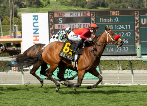 Quattroelle, Horses, Frosted, Buena Vista Stakes, sábado, 4 de marzo de 2023, Santa Anita Park. Foto: Benoit Photo