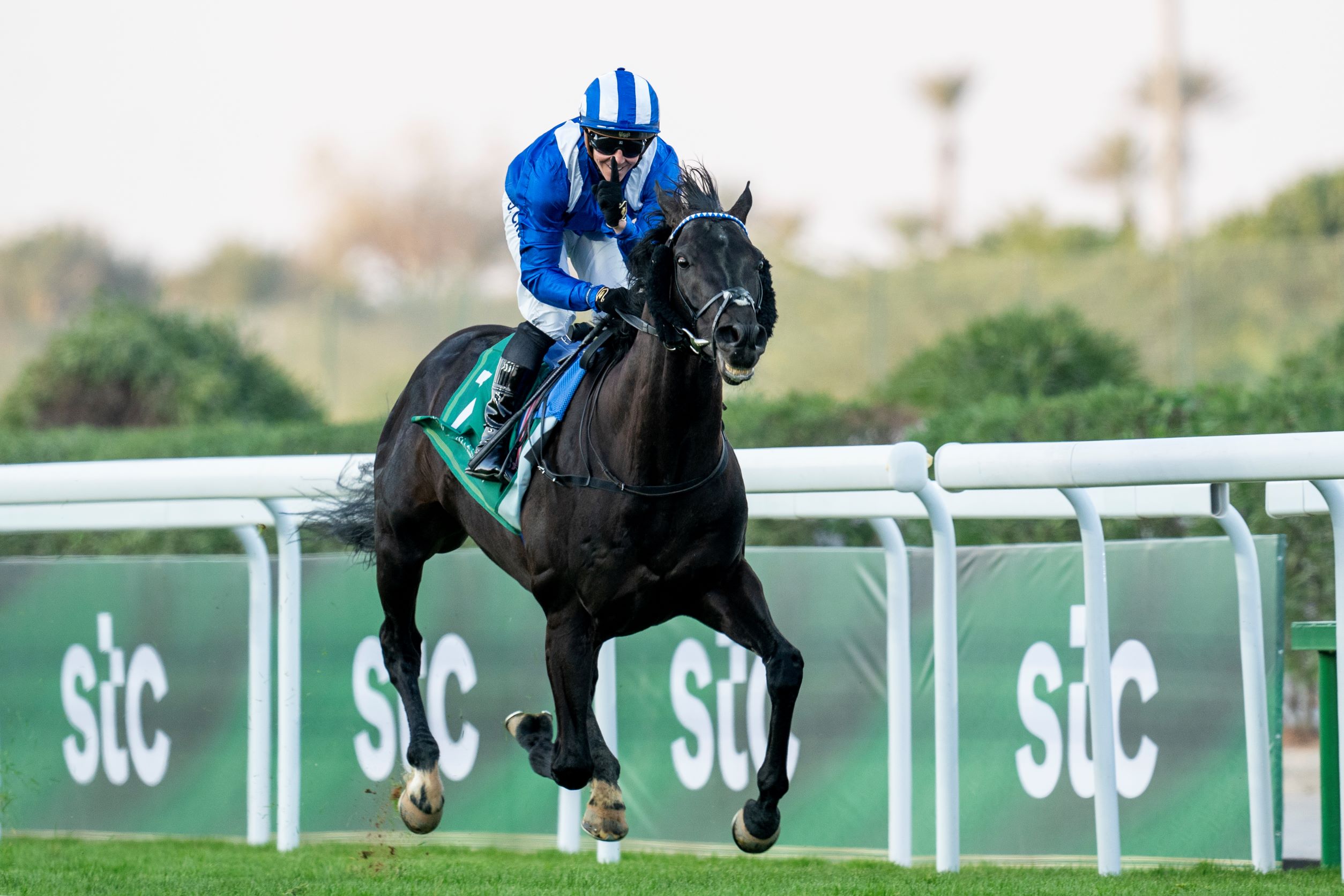 Mostahdah, Horses, Shadwell Estate Company, Altanfeethi Neom Turf Cup, Hipódromo de King Abdul Aziz, sábado, 25 de febrero de 2023. Erika Rasmussen