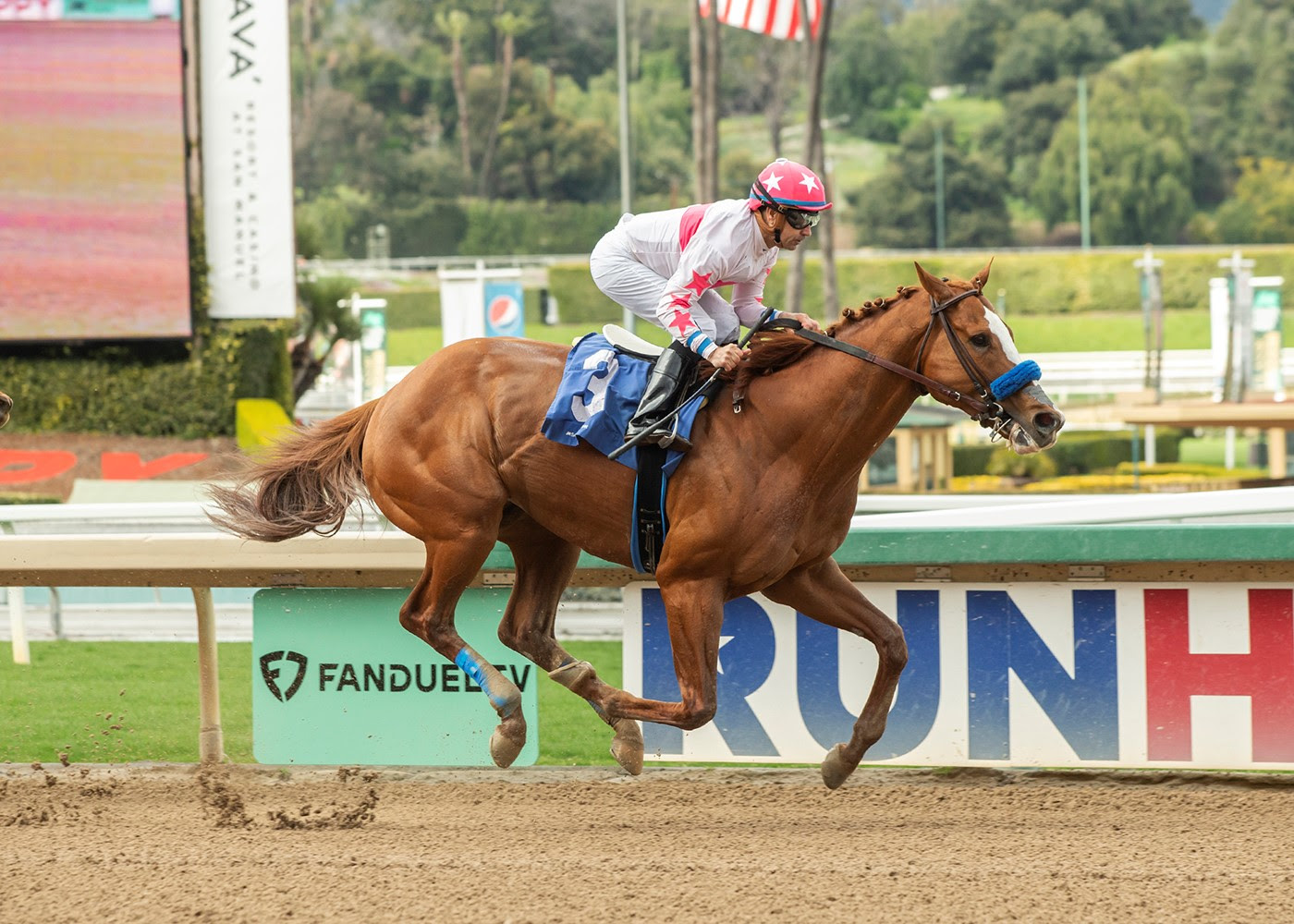 Spirit Of Makena, Horses, Ghostzapper, San Carlos Stakes, sábado, 11 de marzo de 2023, Santa Anita Park. Foto: Benoit Photo