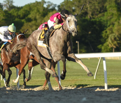 Tapit Trice, horse, Tapit, Tampa Bay Derby, sábado, 11 de marzo de 2023 Tampa Bay Downs Foto: SV Photography