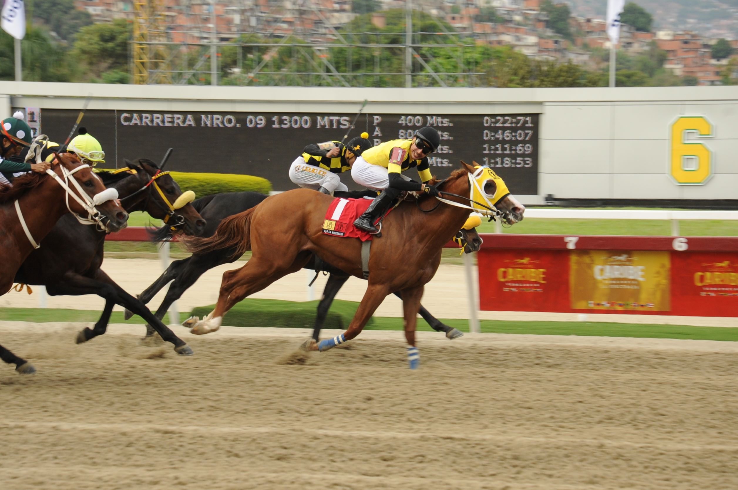 Vermelho, horse, Haras Los Caracaros, Clásico Mauricio Azar, domingo, 12 de marzo de 2023, La Rinconada. Foto: José Antonio Aray