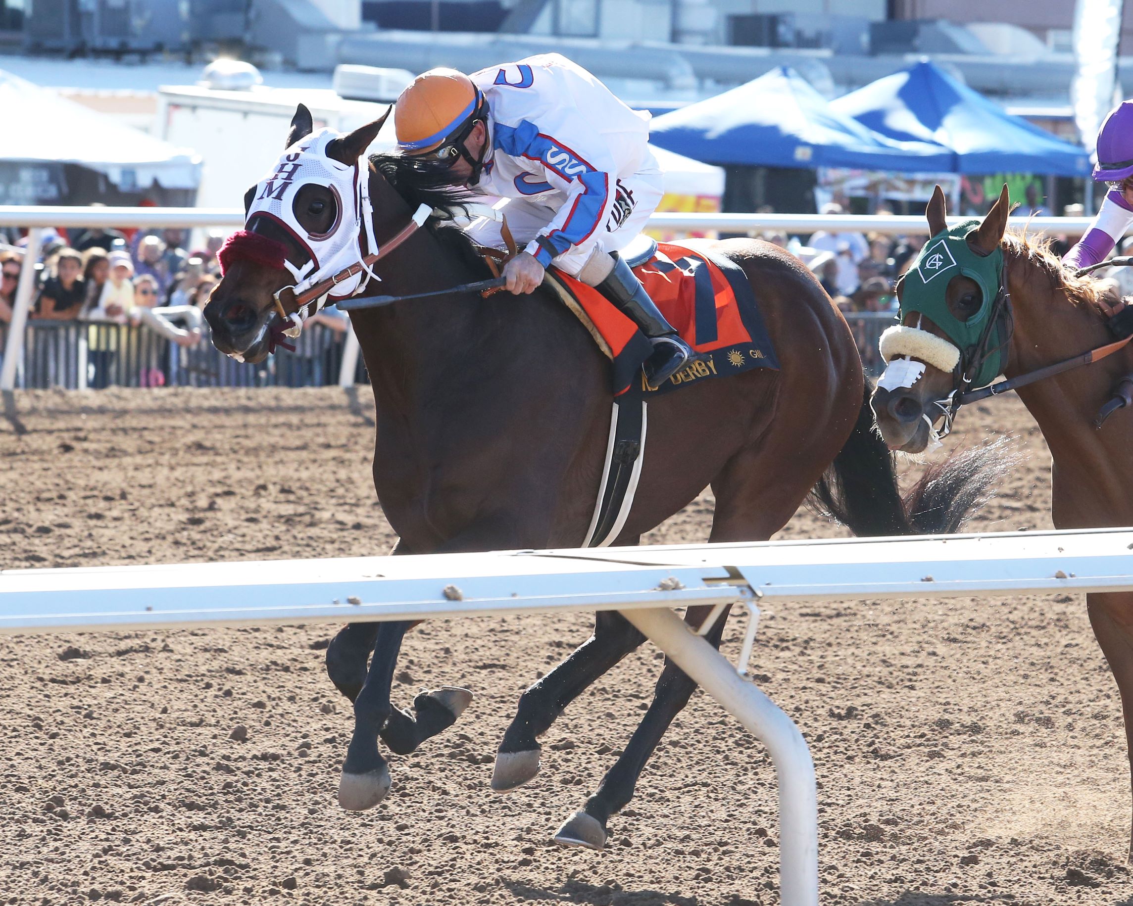 Wild On Ice, Horses, Tapizar, Sunland Park Derby, domingo, 26 de marzo de 2023, Sunland Park. Foto: Coady Photography @CoadyPhoto