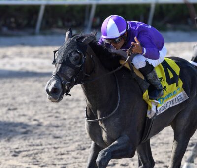 Affirmative Lady, horse, Arrogate, Gulfstream Park Oaks, sábado, 1 de abril de 2023, Gulsftream Park. Foto: Coglianese Photo