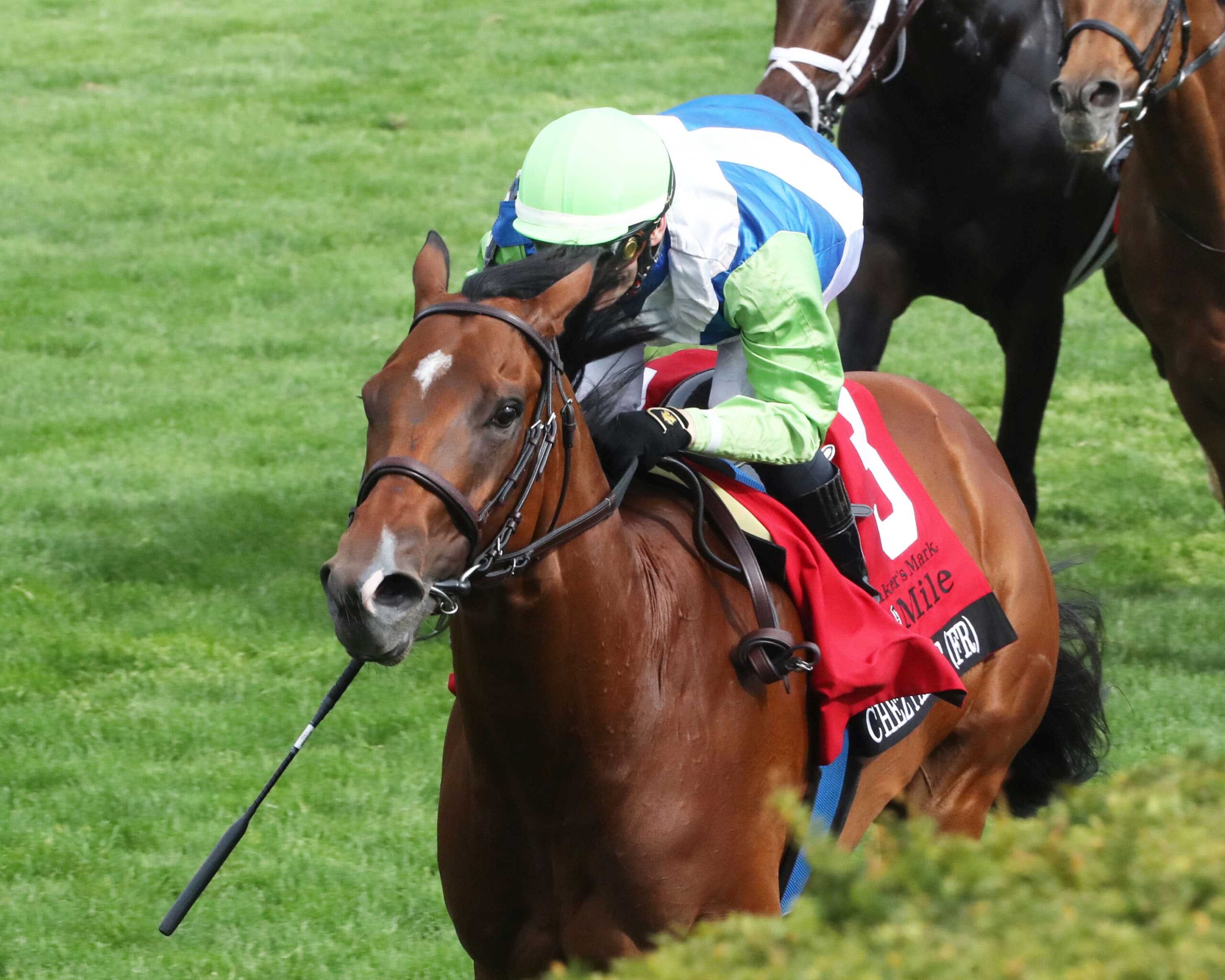 Chez Pierre, horse, Mehmas (IRE), Maker´s Make Mile Stakes, viernes, 14 de abril de 20223 Keeneland. Foto: Coady Photography