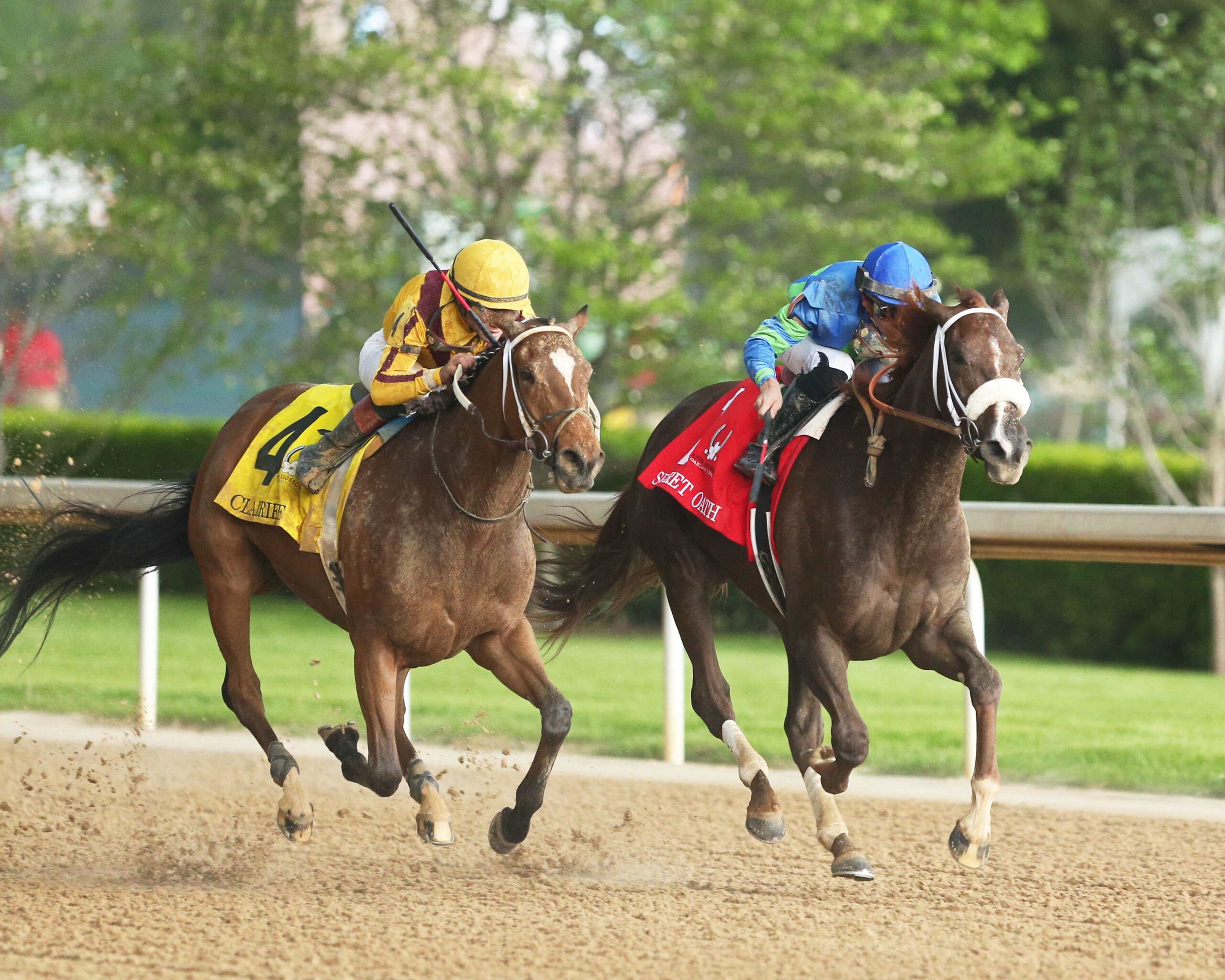 Clairiere, horse, Stonestreet Thoroughbred, Apple Blossom Stakes, sábado, 15 de abril de 2023, Oaklawn Park. Foto: Coady Photo