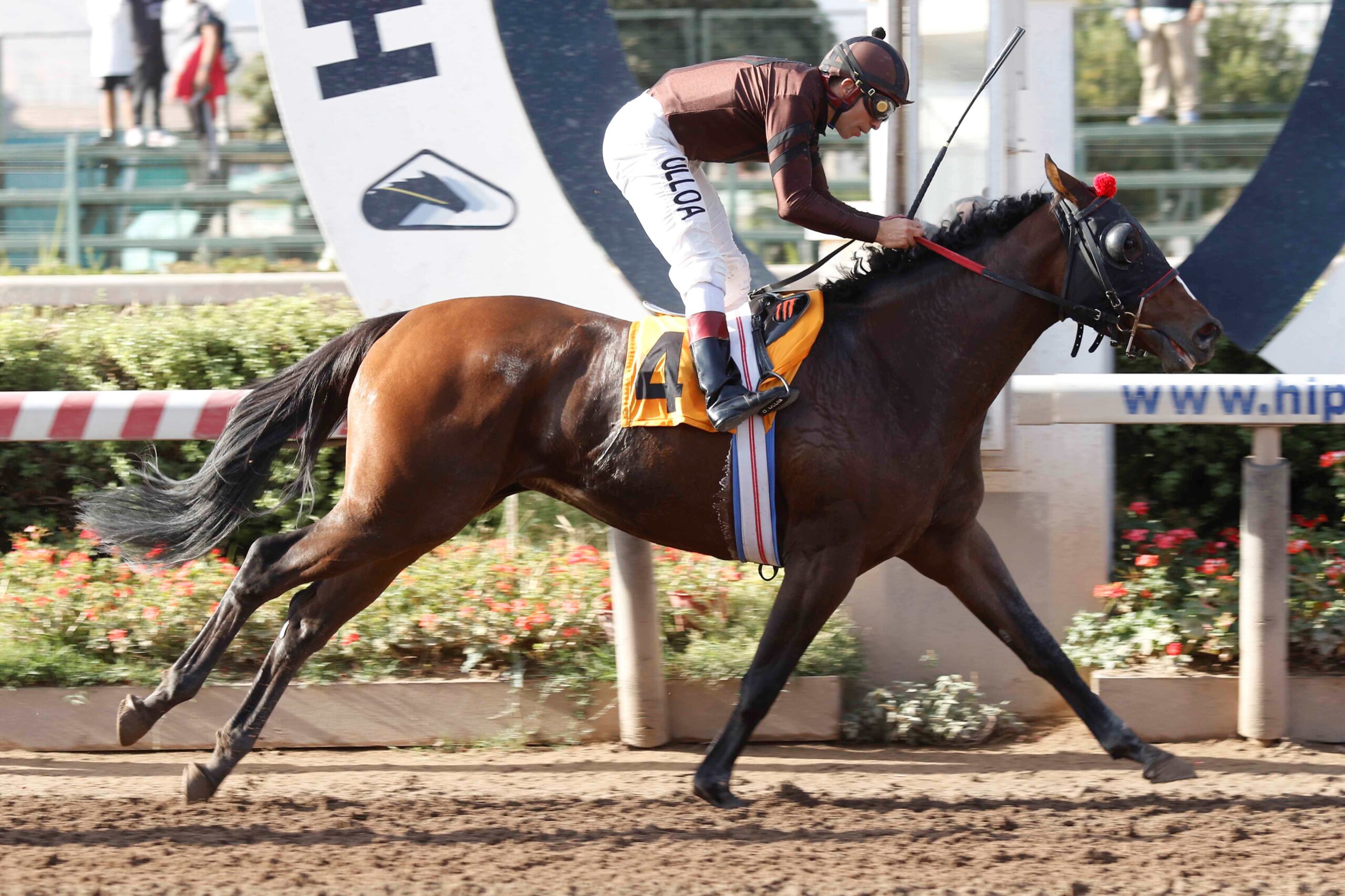 Corniglia, horse, Haras Don Alberto, Clásico Coronel Santiago Bueras, jueves, 20 de abril de 2023, Hipódromo Chile. Foto: Jaime Cortés