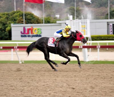 El De Froix, horse, Haras La Orlyana, Clásico Presidente de la República, domingo, 23 de abril de 2023, La Rinconada. Foto: José Antonio Aray