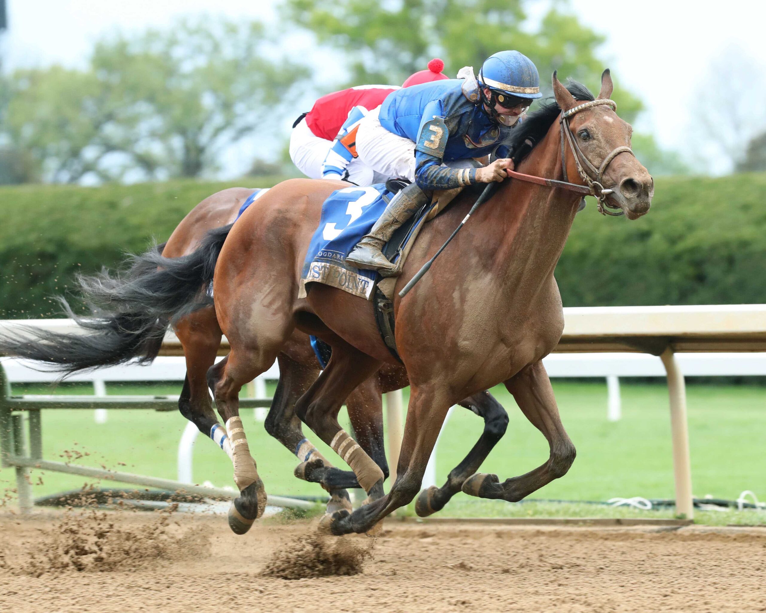 Frost Point, horse, Godolphin, Baird Dobledogdare Stakes, viernes, 21 de abril de 2023, Keeneland. Foto: Coady Photography