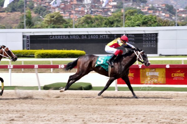 Fast Sensations, horse, Haras Los Caracaros, Clásico Manuel Fonseca, domingo, 9 de abril de 2023, La Rinconada. Foto: José Antonio Aray
