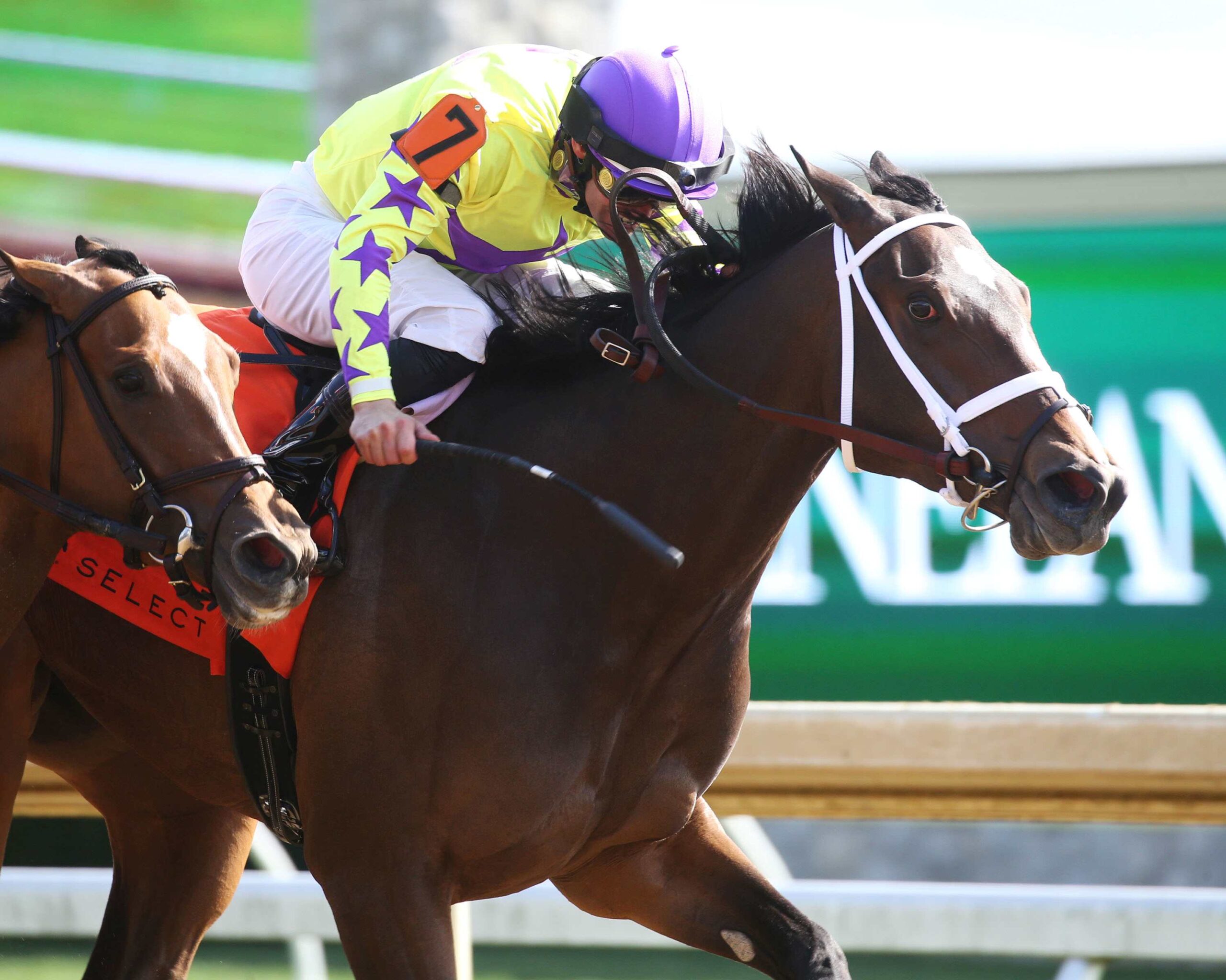 Key Of Life, horse, Mo Town, Beaumont Stakes, domingo, 16 de abril de 2023, Keeneland. Foto: Coady Photo