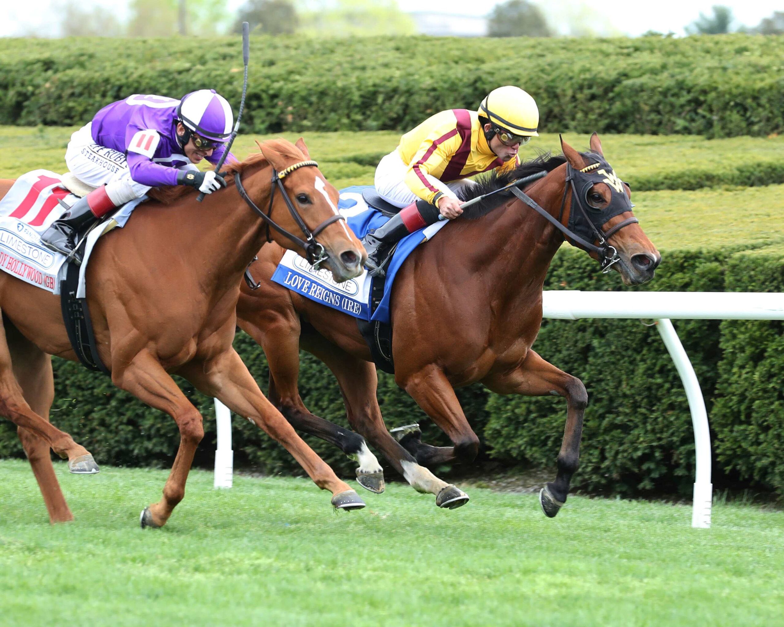 Love Reigns, horse, U S Navy Flag, Fanduel Limestone Stakes, viernes, 14 de abril de 2023, Keeneland. Foto: Coady Photo