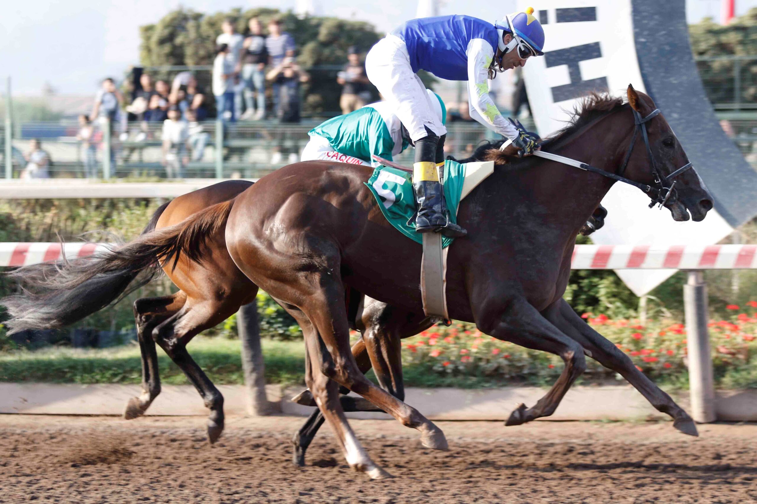 Morricone, horse, Practical Joke, Clásico Raúl Spoerer Carmona y Raúl Spoerer Urrutia, sábado, 15 de abril de 2023, Hipódromo Chile. Foto: Jaime Cortés