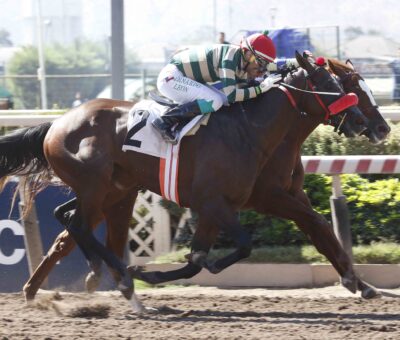 Ned Gowan, horse, Scat Royal, Clásico Julio Prado Amor, sábado, 1 de abril de 2023, Hipódromo Chile. Foto: Jaime Cortés