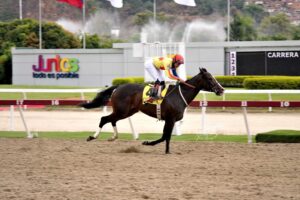 Philomena, horse, Haras La Orlyana, Clásico Hípica Nacional, domingo, 19 de marzo de 2023, La Rinconada. Foto: José Antonio Aray
