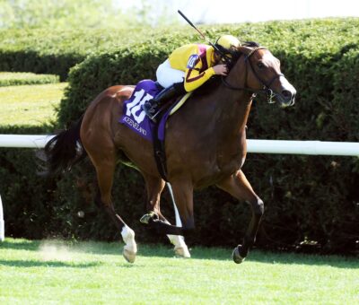 Twilight Gleaming, horse, National Defense, Giant´s Causeway Stakes, sábado, 15 de abril de 2023, Keeneland. Foto: Coady Photography