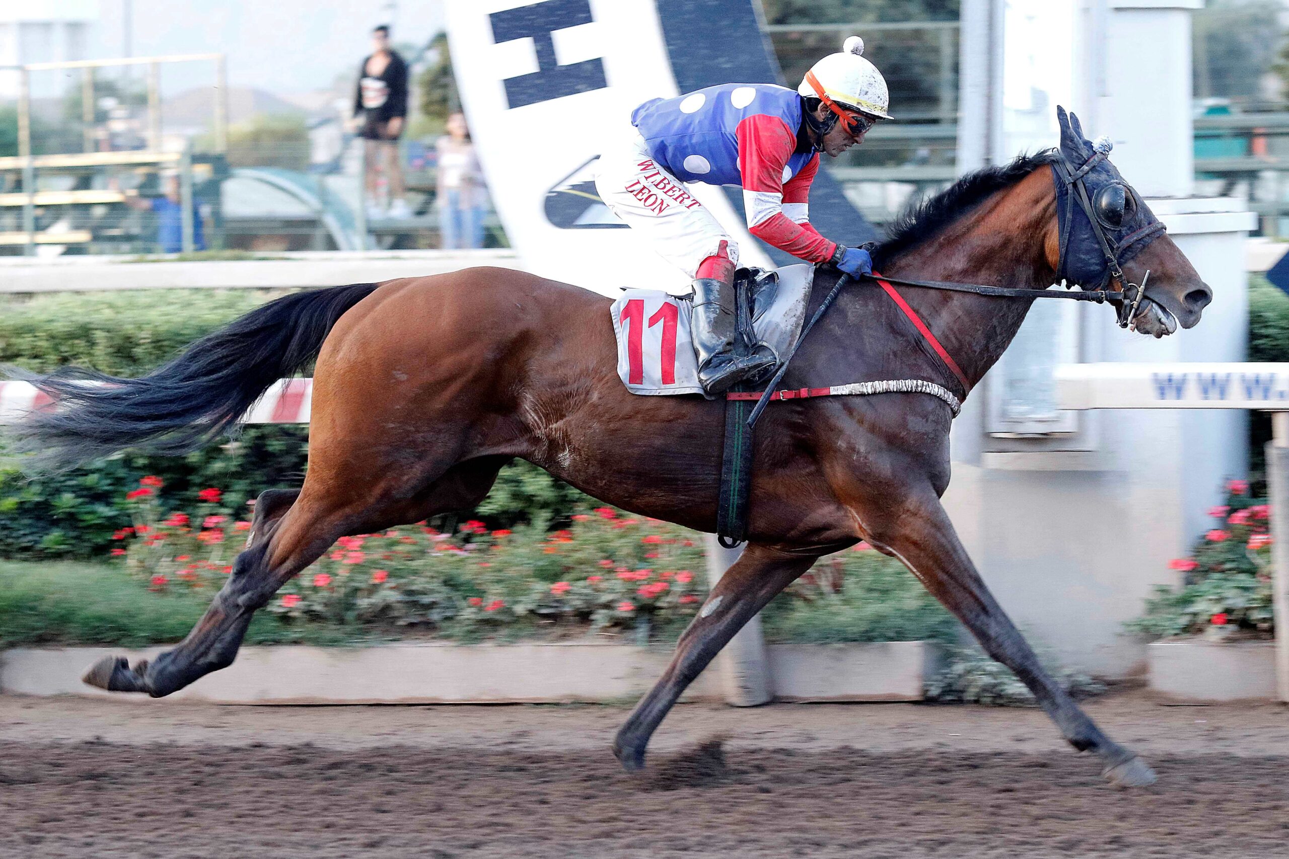 Ya Llegué, horse, Ocean Terrence, Clásico Mocito Libre, jueves, 20 de abril de 2023, Hipódromo Chile. Foto: Jaime Cortés