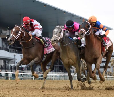 Lord Miles, horse, Vegso Racing Stable, Resort World Casino Wood Memorial, sábado, 8 de abril de 2023, Aqueduct. Foto: Coglaniese Photo