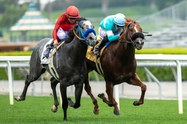 Conclude, Horses, Collected, Desert Code Stakes, domingo, 21 de mayo de 2023, Santa Anita Park. Foto: Benoit Photo