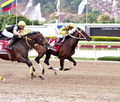 Futuro, horse, Haras La Alhambra, Clásico Juan Arias, domingo, 14 de mayo de 2023, La Rinconada. Foto: José Antonio Aray